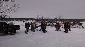 Fish sticks crew moving first trees in
