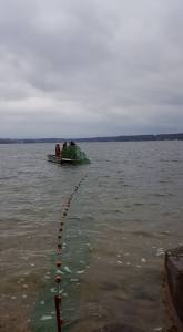 04062016 fyke net check