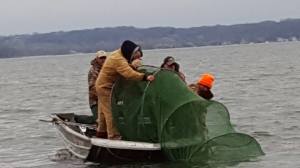 04062016 net checking crew