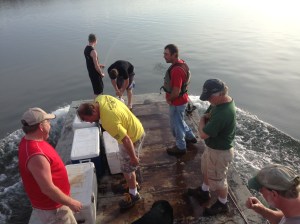 Fry relaese on Mothers day 2104