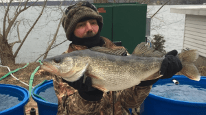 rooster with a big green female