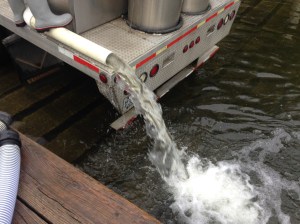 Dumping in walleyes 2014