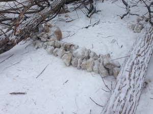 Rock and cable anchor