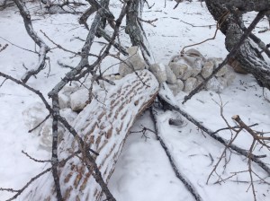 Rock cable and saddle bags