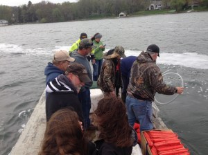 Final release day 2015