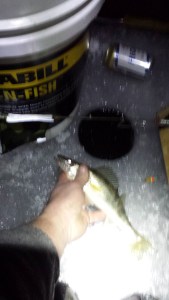 Jim Schmitz little eye 01052016