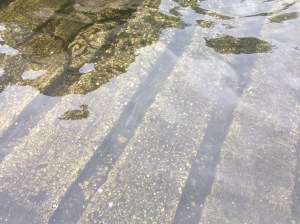 2016-wdnr-walleye-stocking