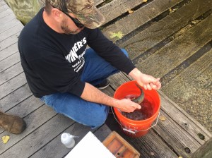 ben-with-walleye-sample