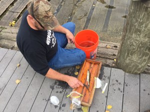 ben-with-walleye-samples-2016